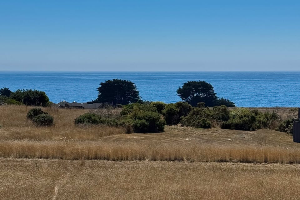 Embrace the tranquility of coastal views, where the endless ocean meets the golden grasslands, inviting peaceful reflections.