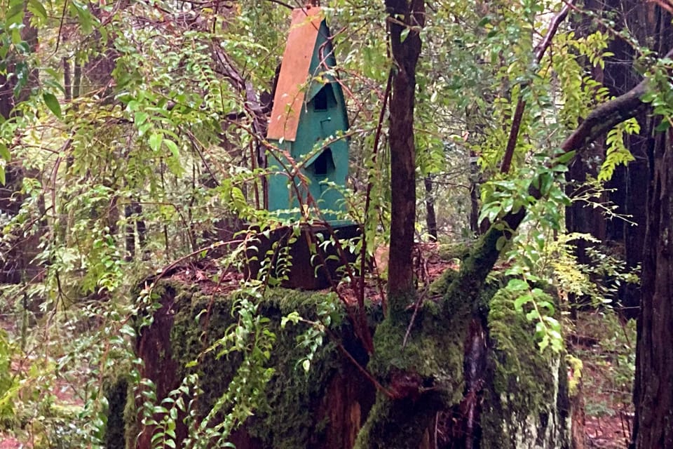 Encounter nature's artistry with this whimsical tree stump sculpture, a reminder of the enchanting surroundings that await your exploration.