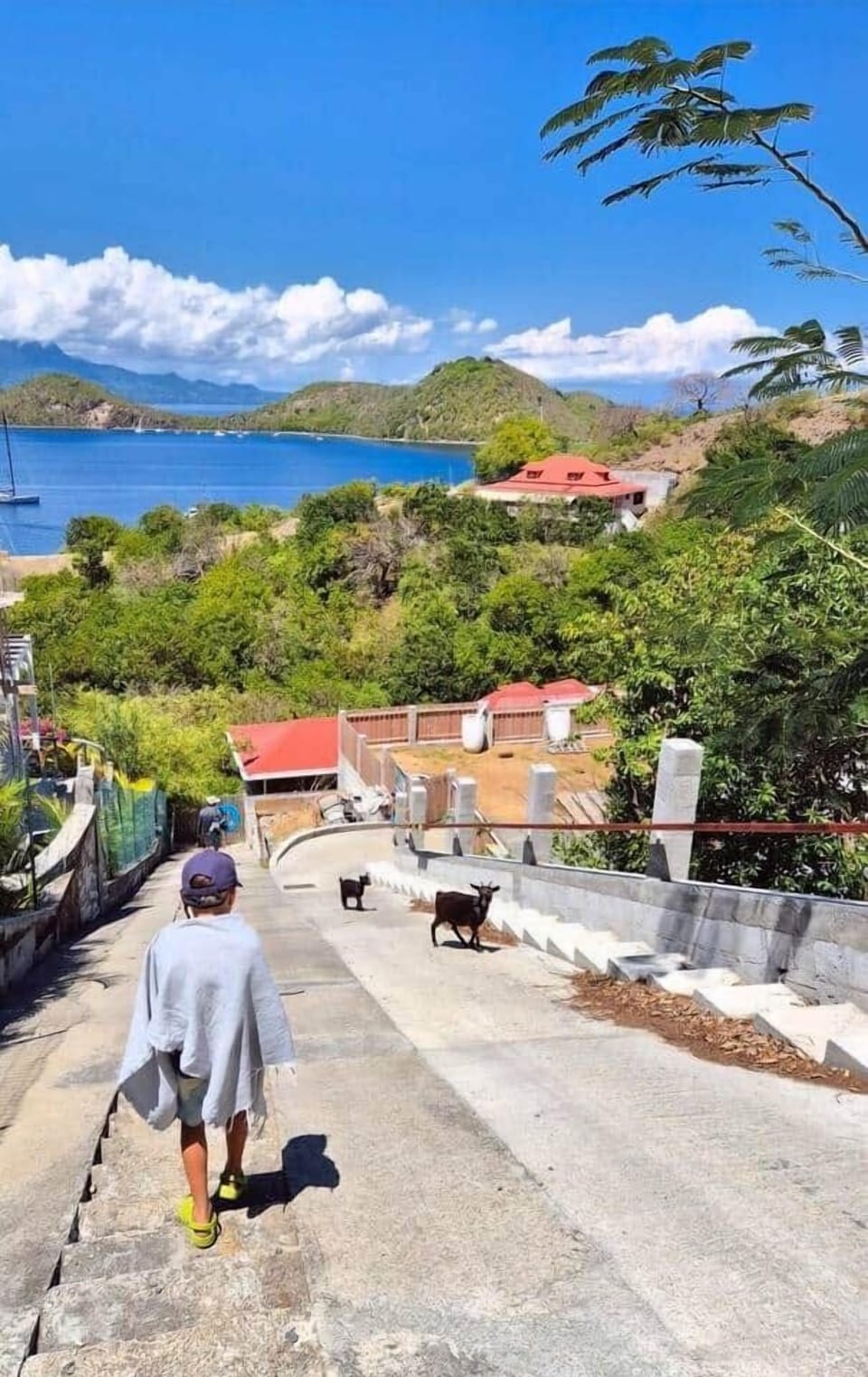 Accès à la villa par un escalier de 100 marches