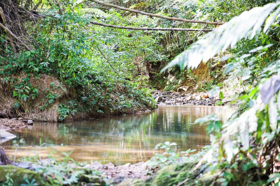 El Indo river on property