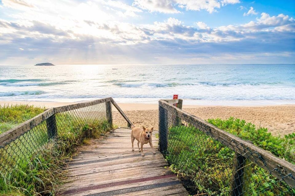 Beach