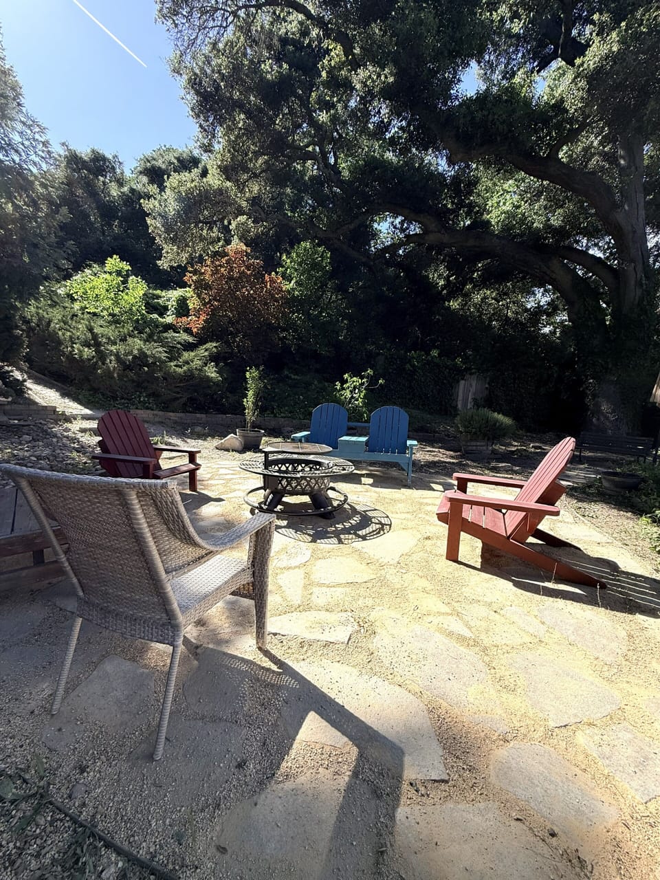 Back yard Fire Pit area 