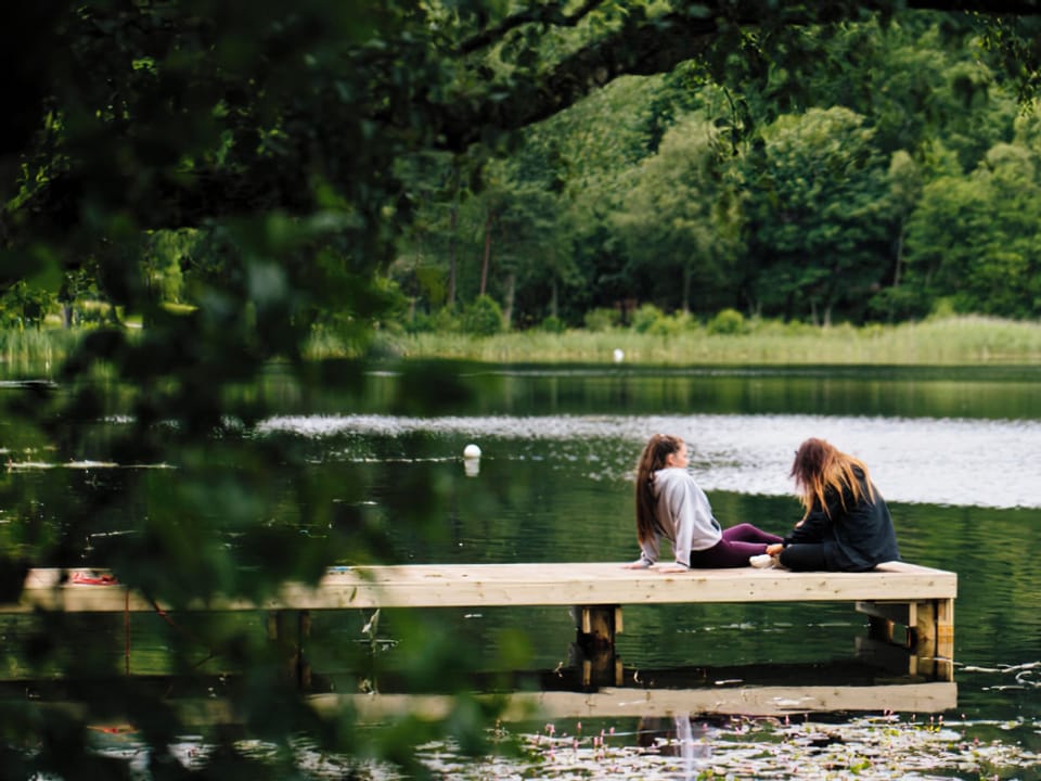 Garden and grounds | Conifer Chalet 5 - Loch Monzievaid, Crieff