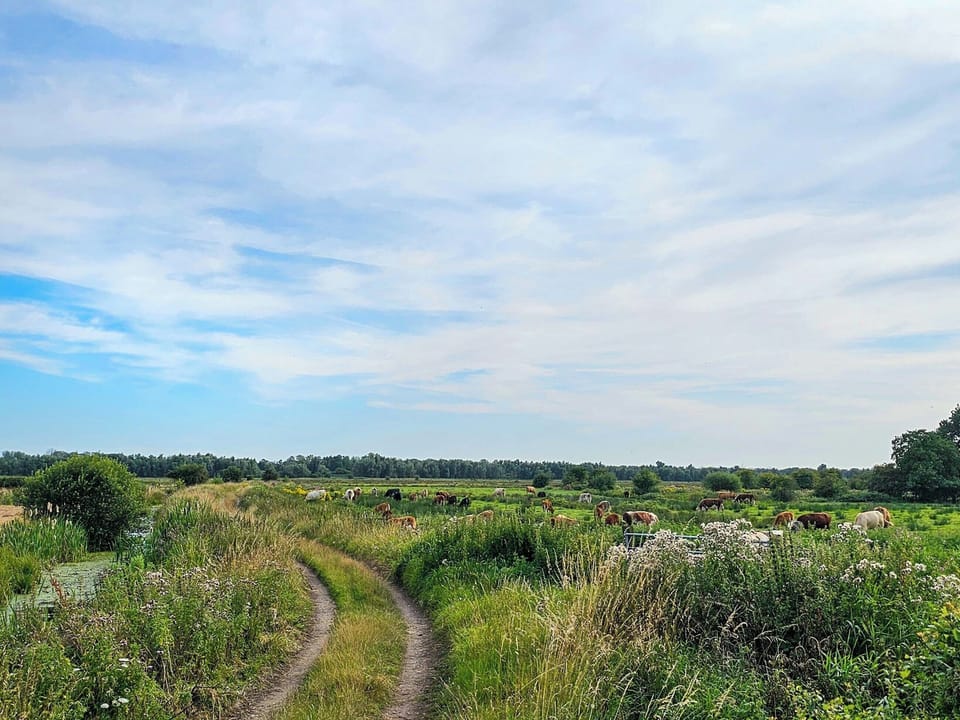 Garden side entrance. | Little Marsh, Aldeby