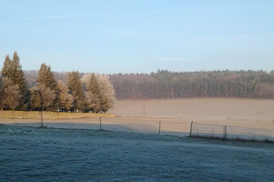Garden [winter]