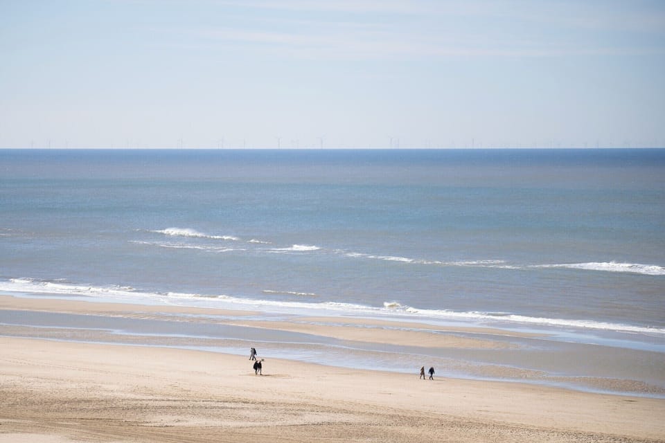Region [summer] (>5 km)
