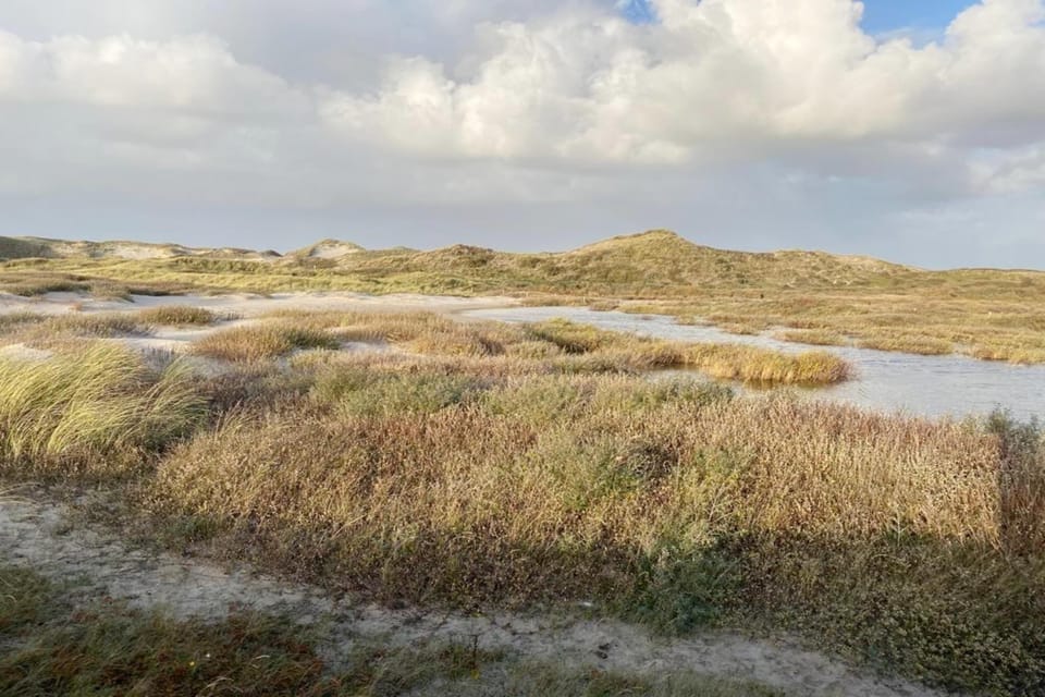 Surroundings [summer] (1-5 km)