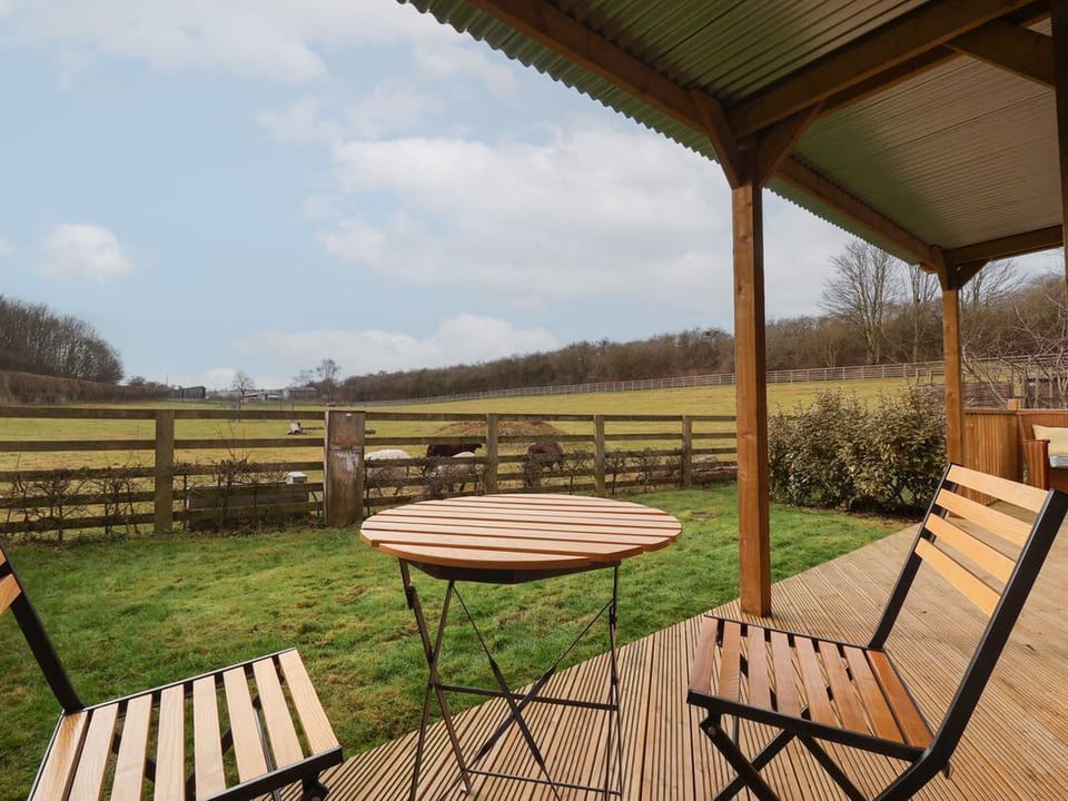 Beech Tree Cabin