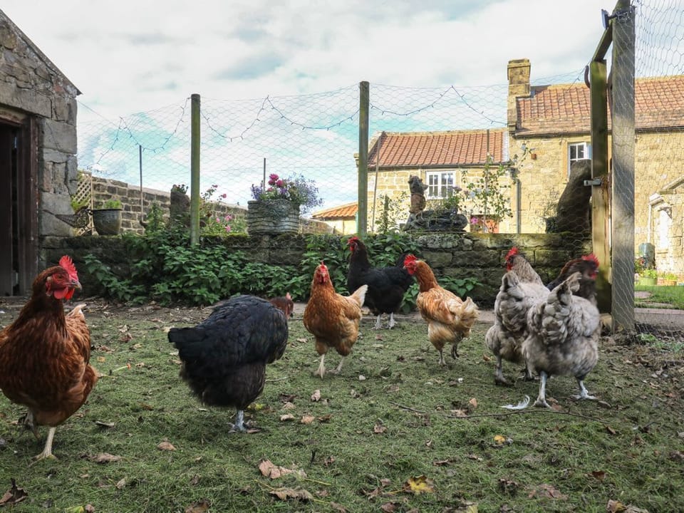 Church Farm Annex
