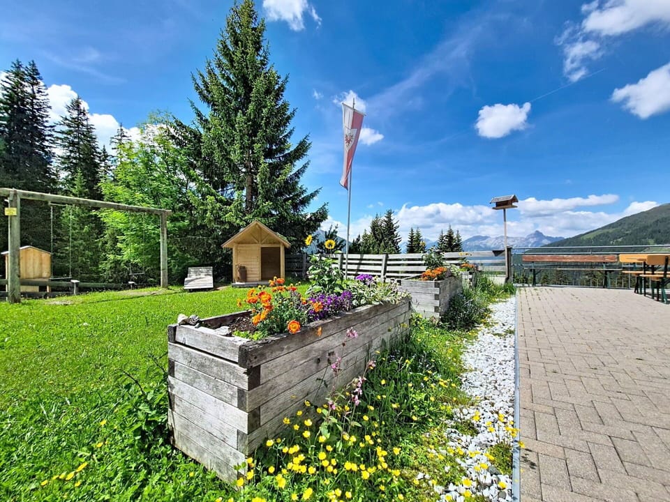 Spring, Hill Station, Mountain Range, Garden, Valley, Landscaping, Alps, Larch, Fence