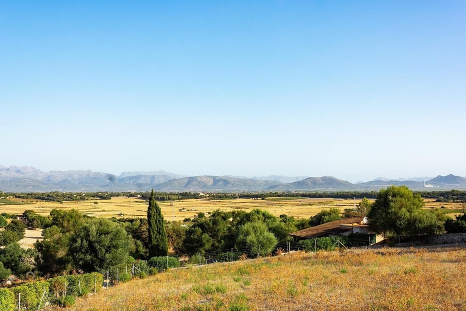 Surroundings [summer] (1-5 km)