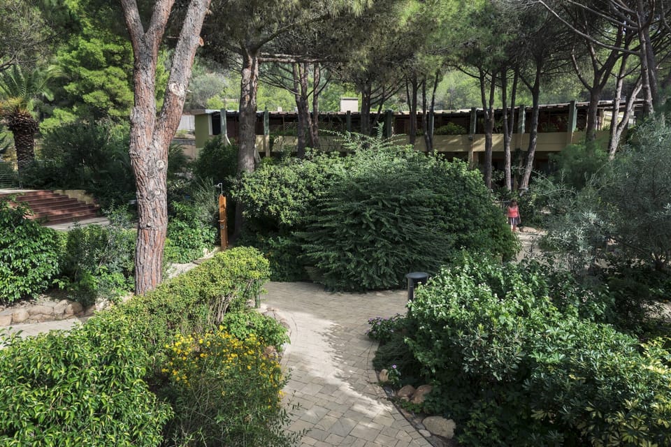 Garden [summer]