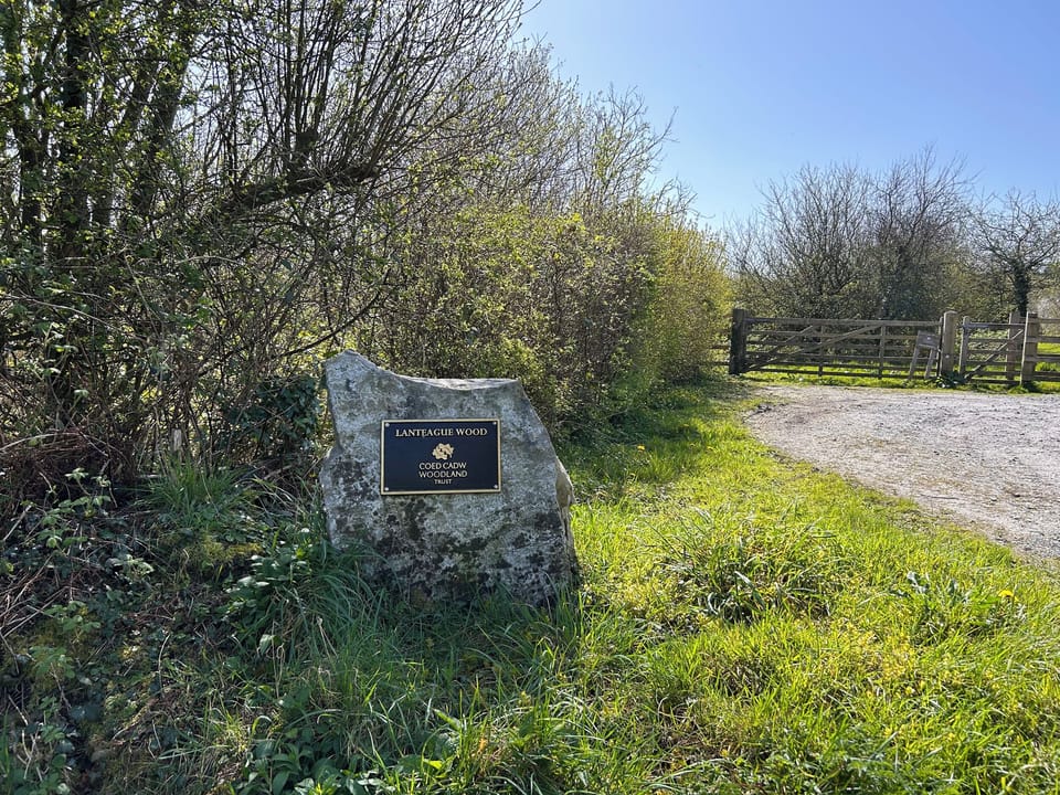 Cottage | Property grounds
