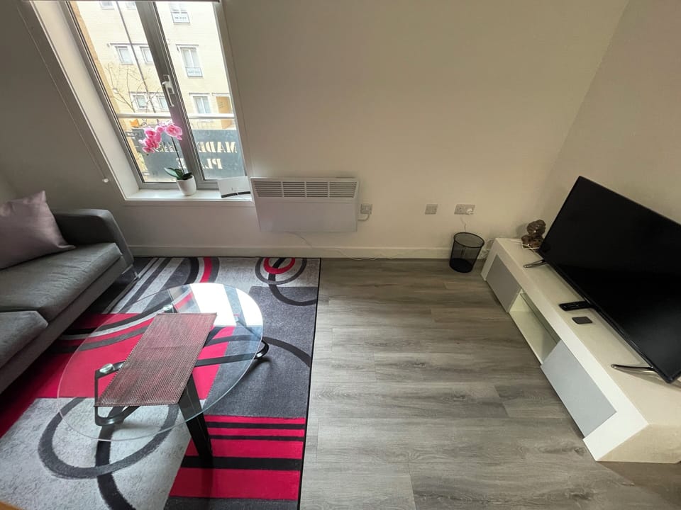 Basic Apartment | Living area | 40-inch LED TV with cable channels