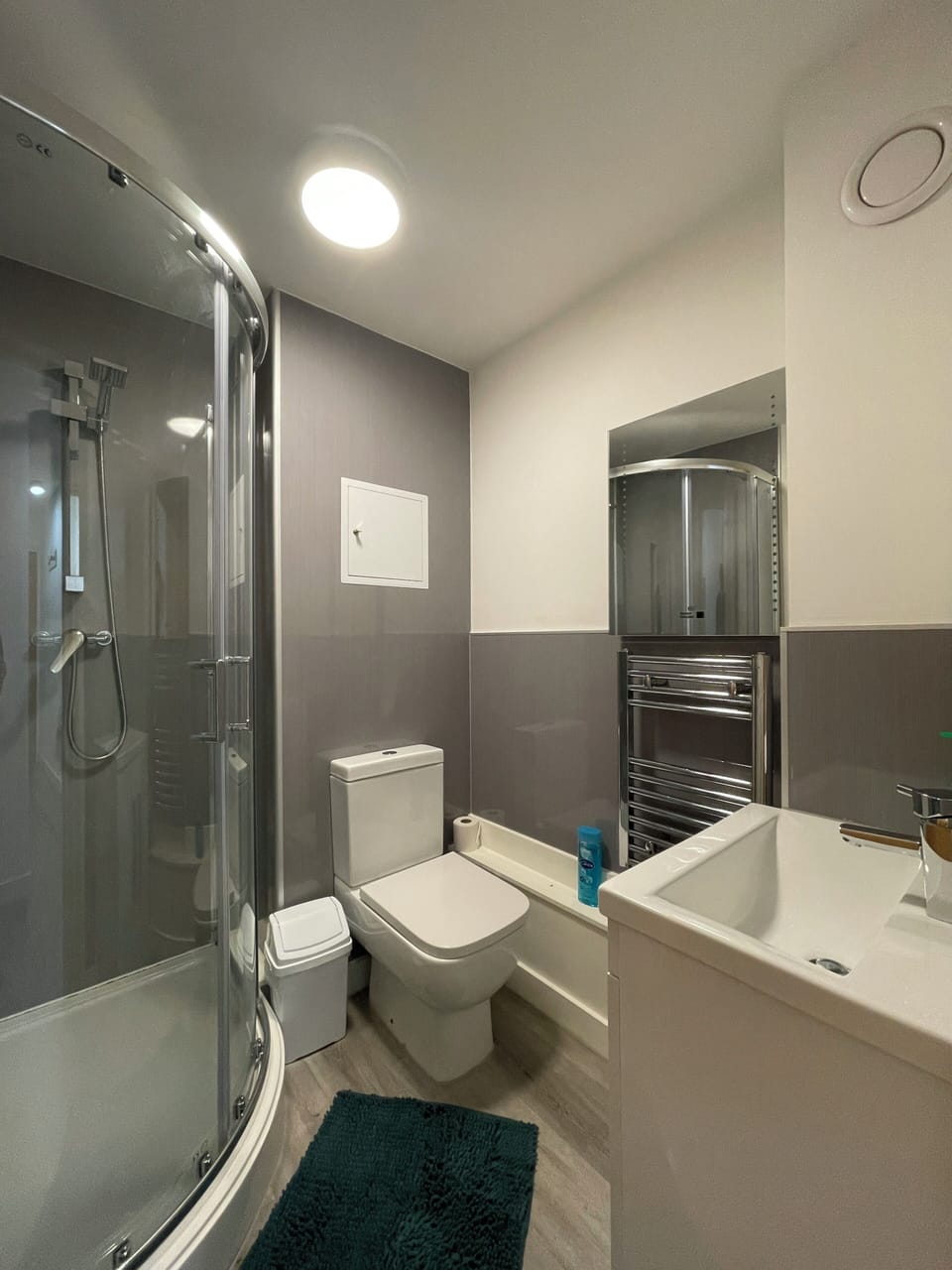 Basic Apartment | Bathroom | Free toiletries, hair dryer, towels, soap