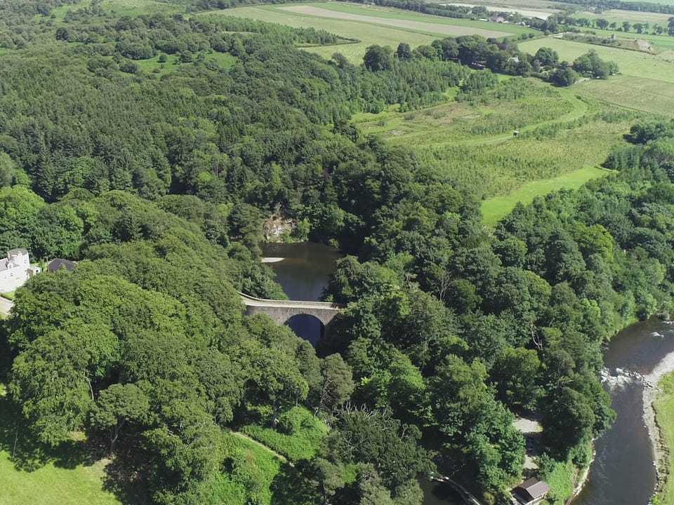 Cottage | Aerial view