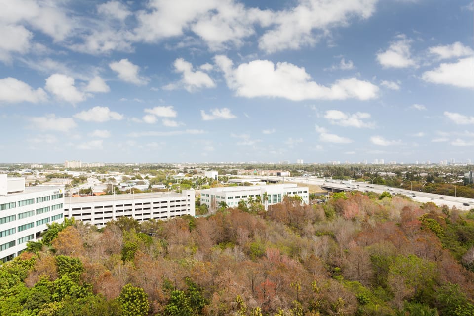 City view