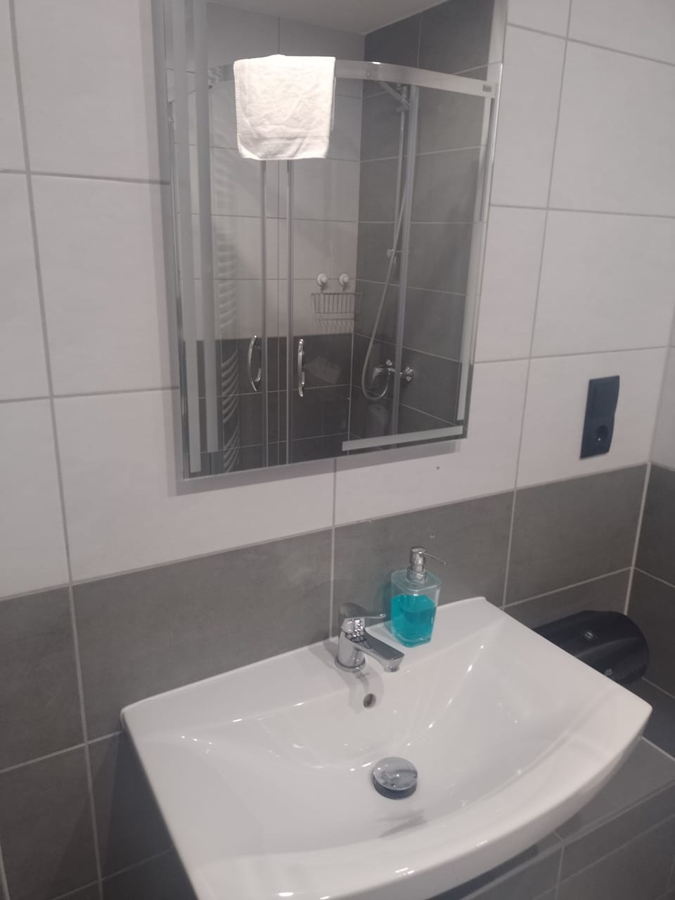 Superior Double Room Single Use | Bathroom | Shower, towels, soap, shampoo
