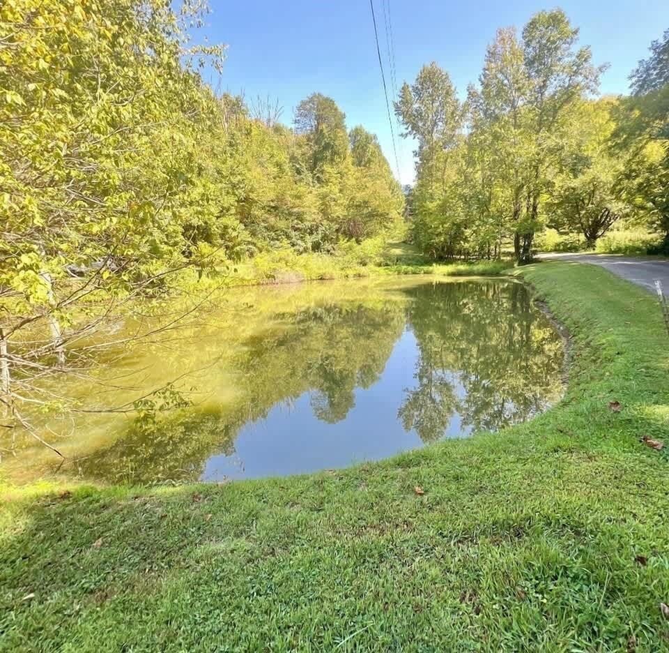 Private pond perfect for catch-and-release fishing