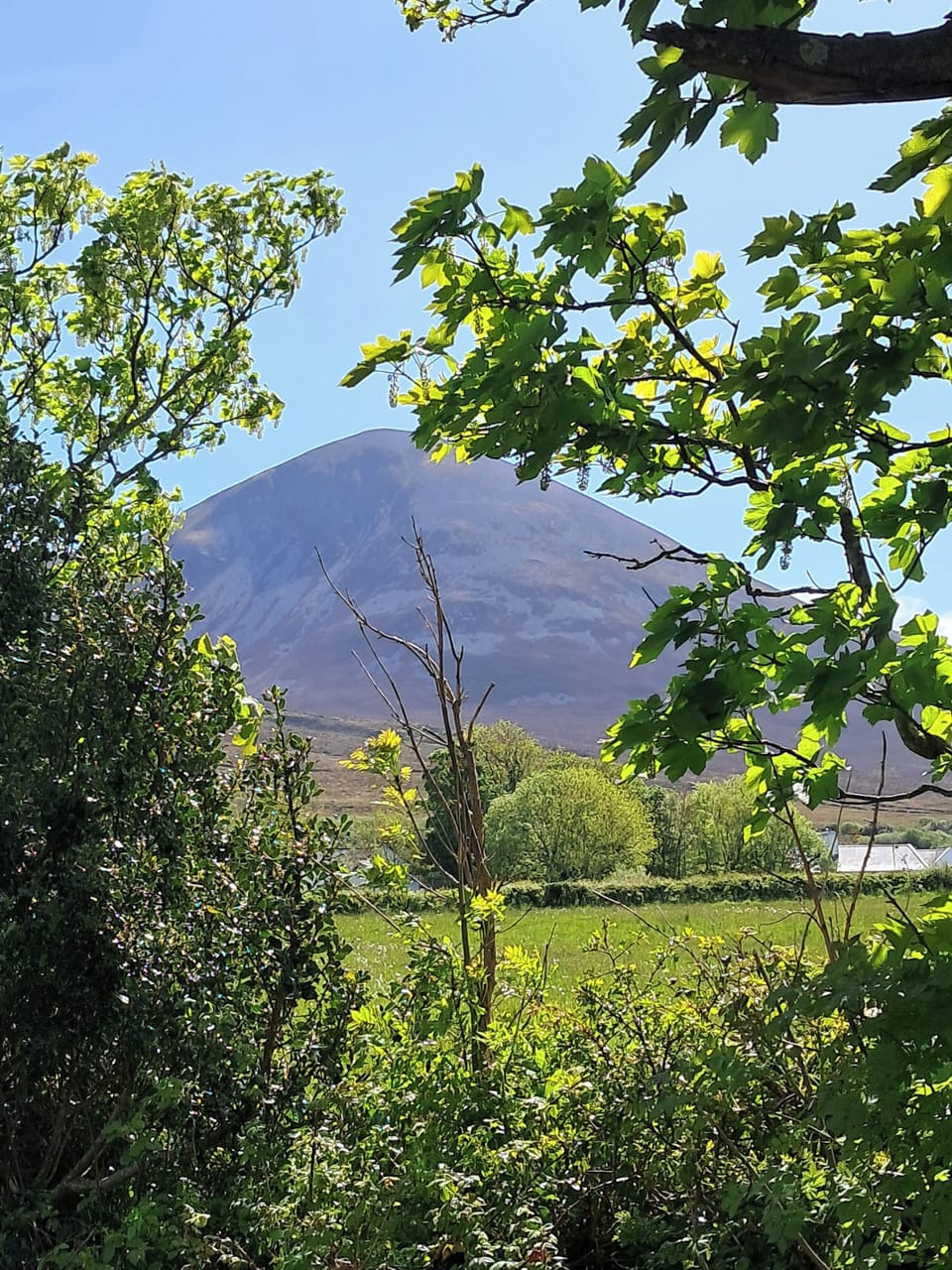 Image 17