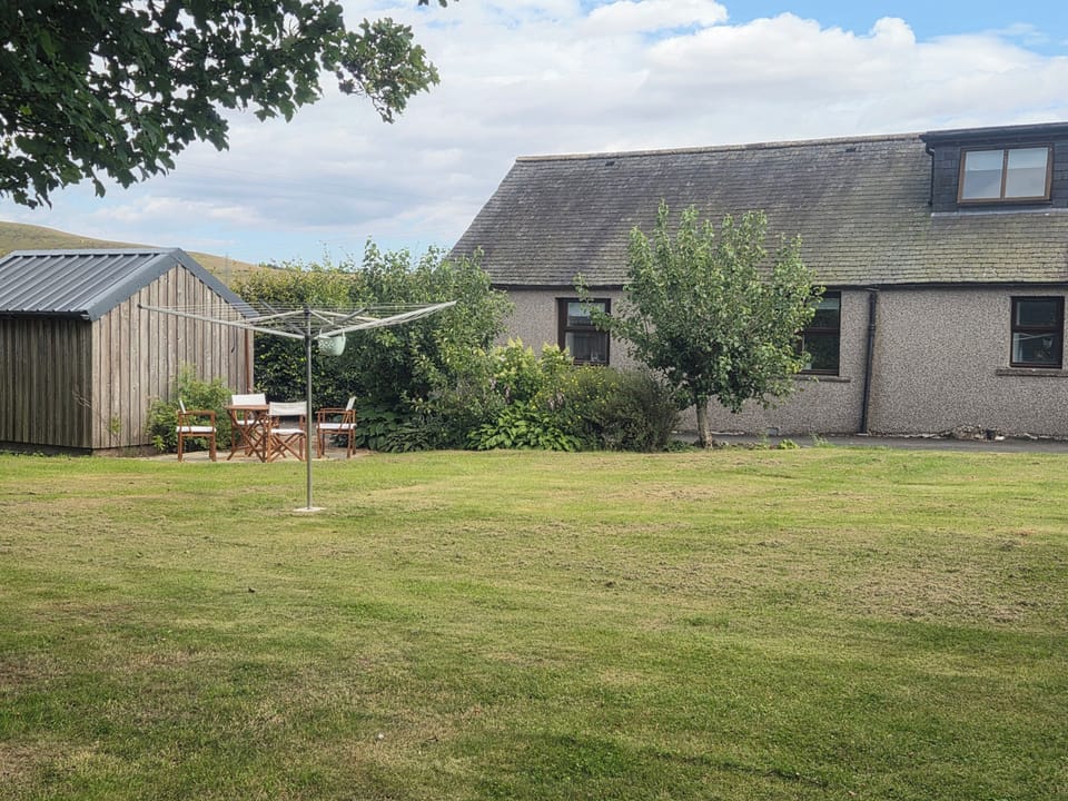 Back garden