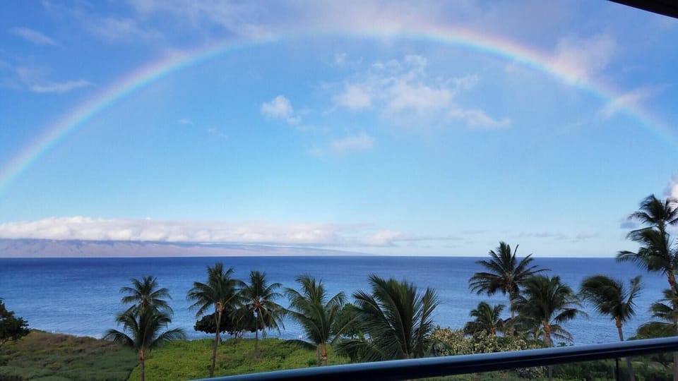 Expansive ocean view framed by palms and blue skies, your daily dose of Maui serenity.

 HKK-450