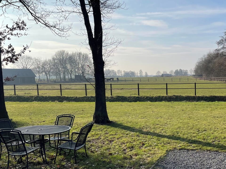House | View from property