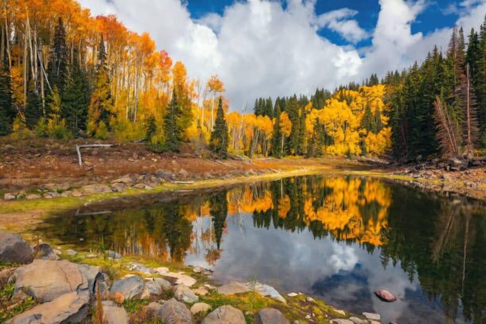 Each fall, the Grand Mesa, just outside Grand Junction, transforms into one of Colorado’s most breathtaking autumn landscapes.