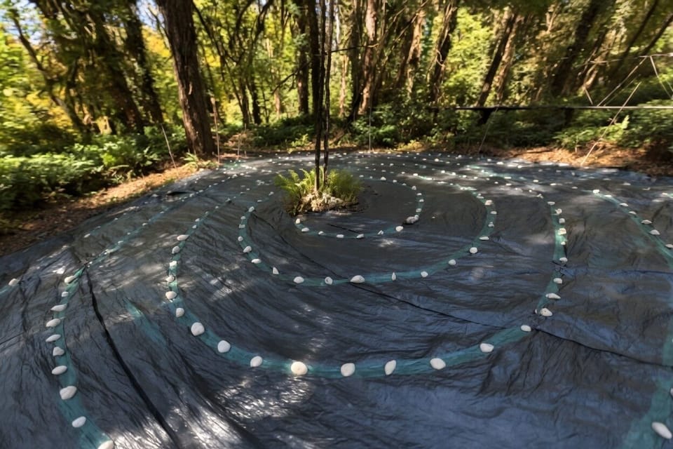 Into the labyrinth enter
Find your center:-)