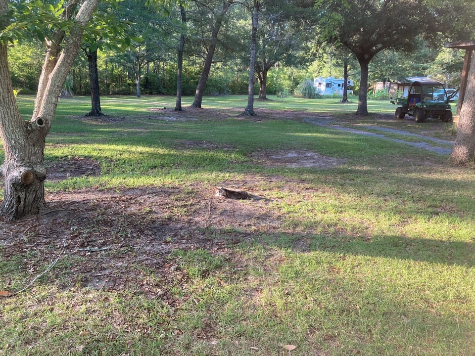 Property grounds