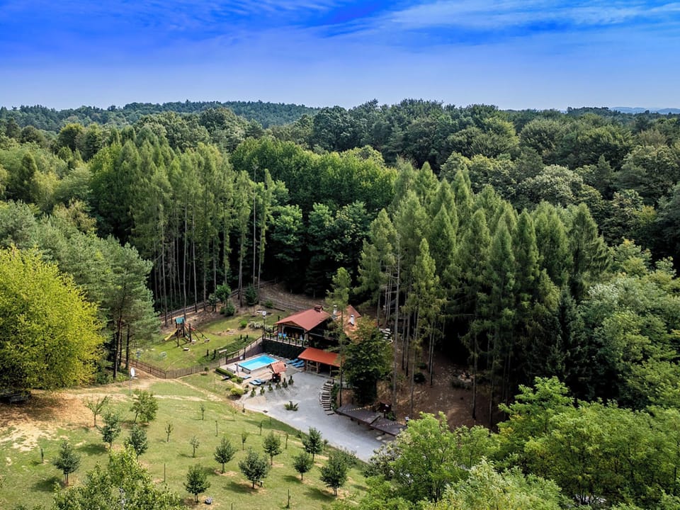 Aerial photography