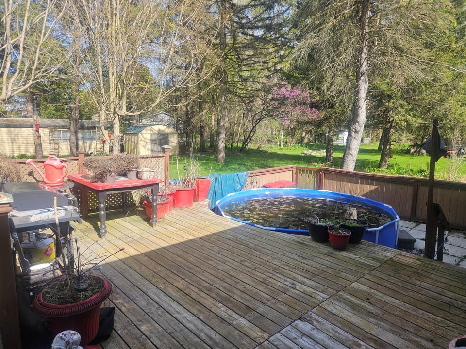Terrace/patio
