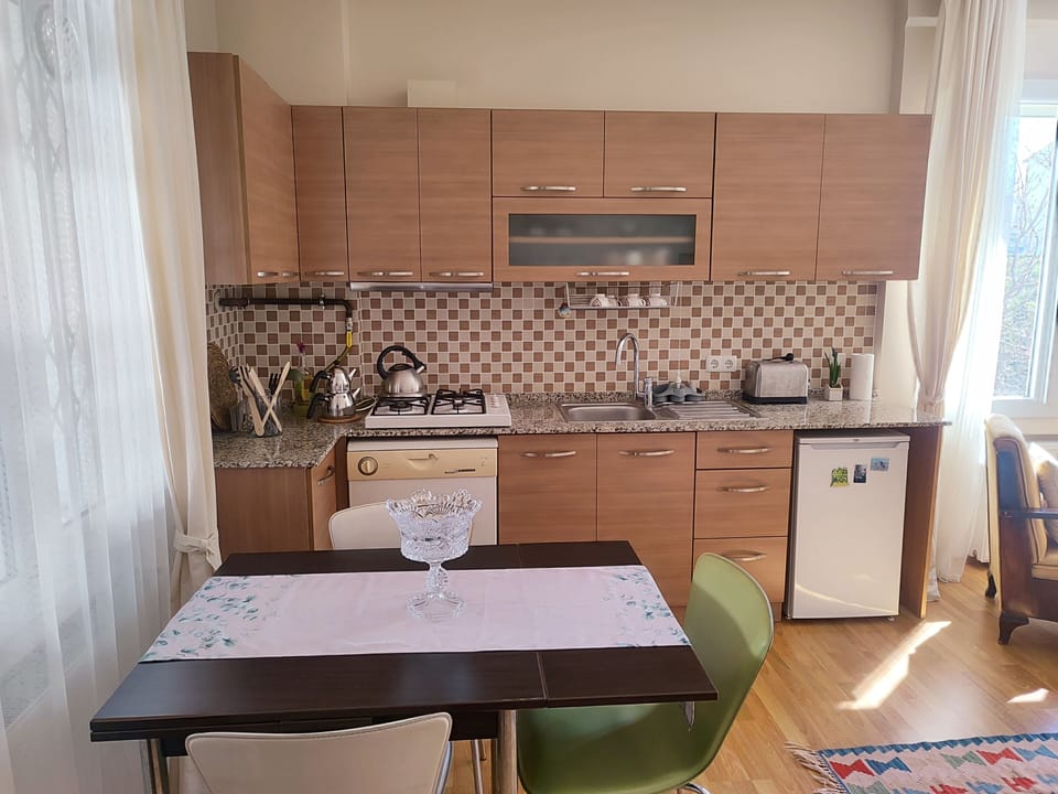 Deluxe Apartment, Balcony, Mountain View | Private kitchen