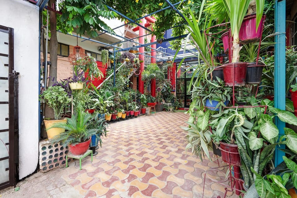 House | Garden
