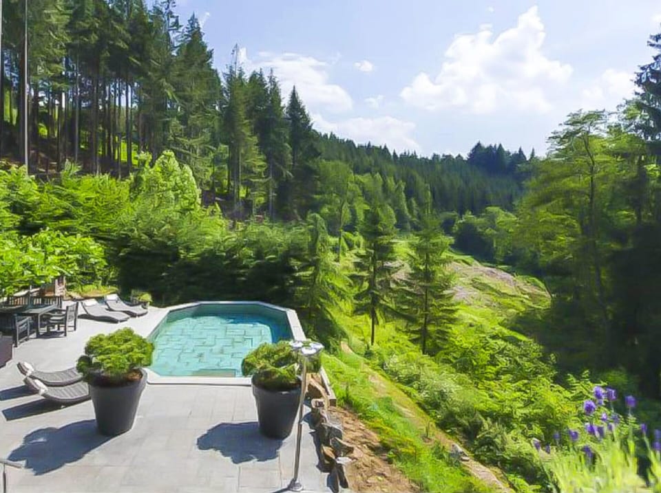 House | Pool | Indoor pool, outdoor pool