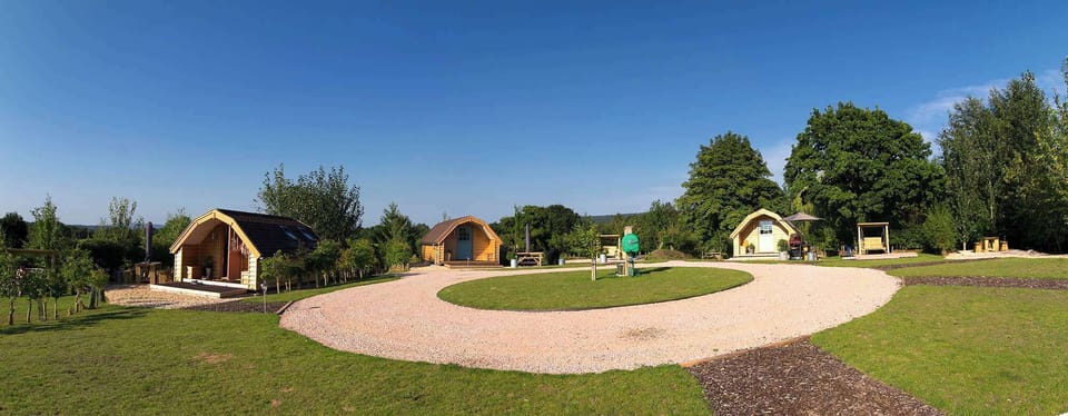 The Site