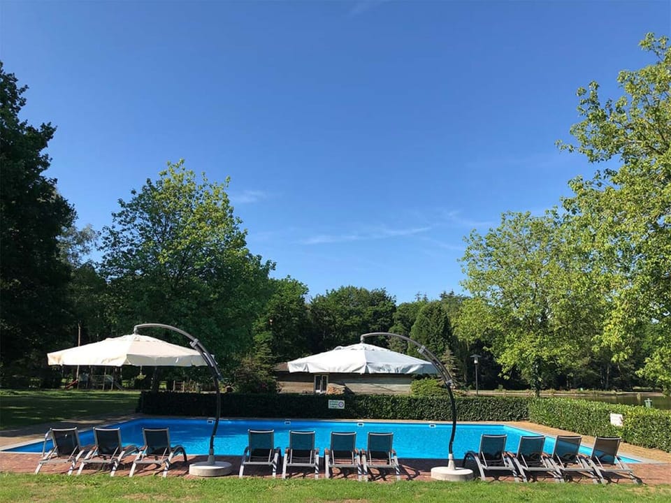 Dive into the sparkling outdoor pool surrounded by greenery.