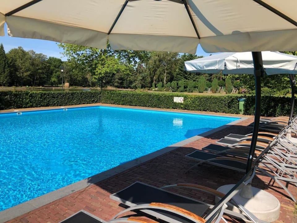 Stretch out poolside on loungers beneath cooling shade.