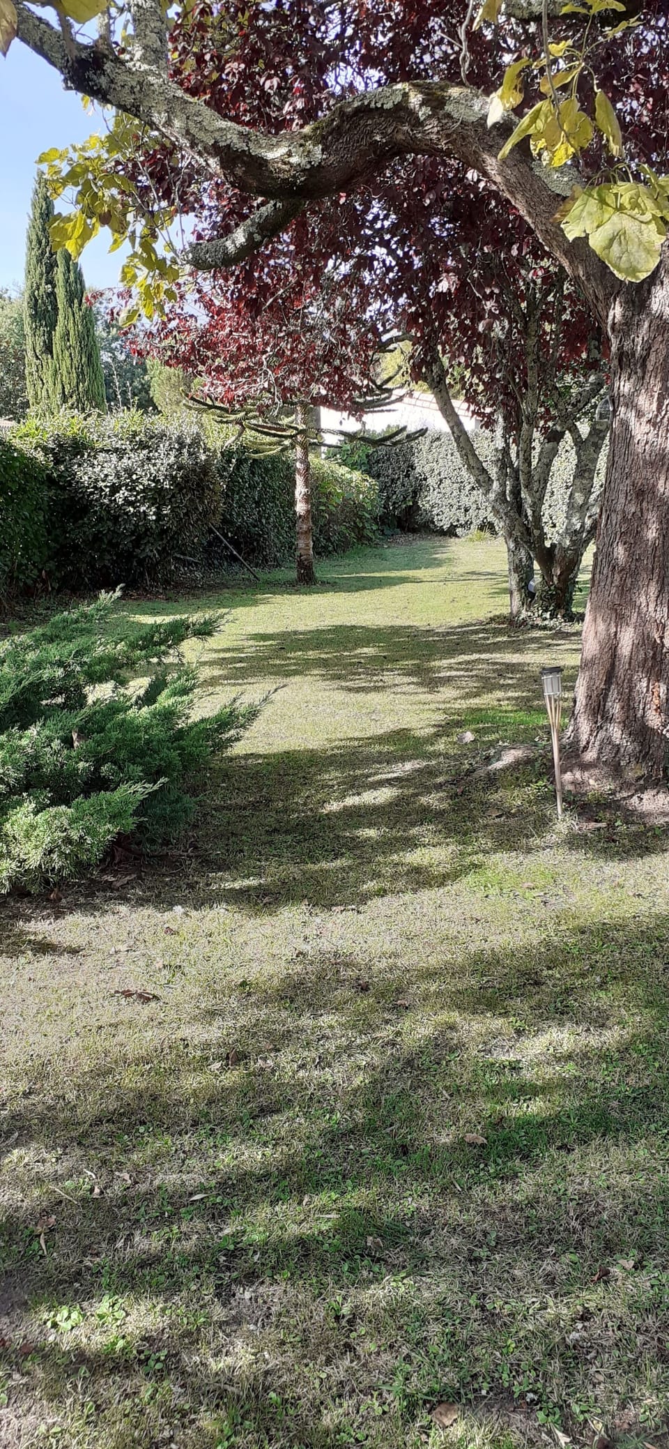 Property grounds