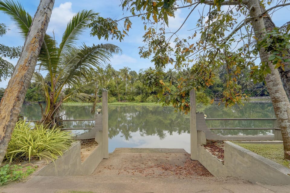 House | View from property