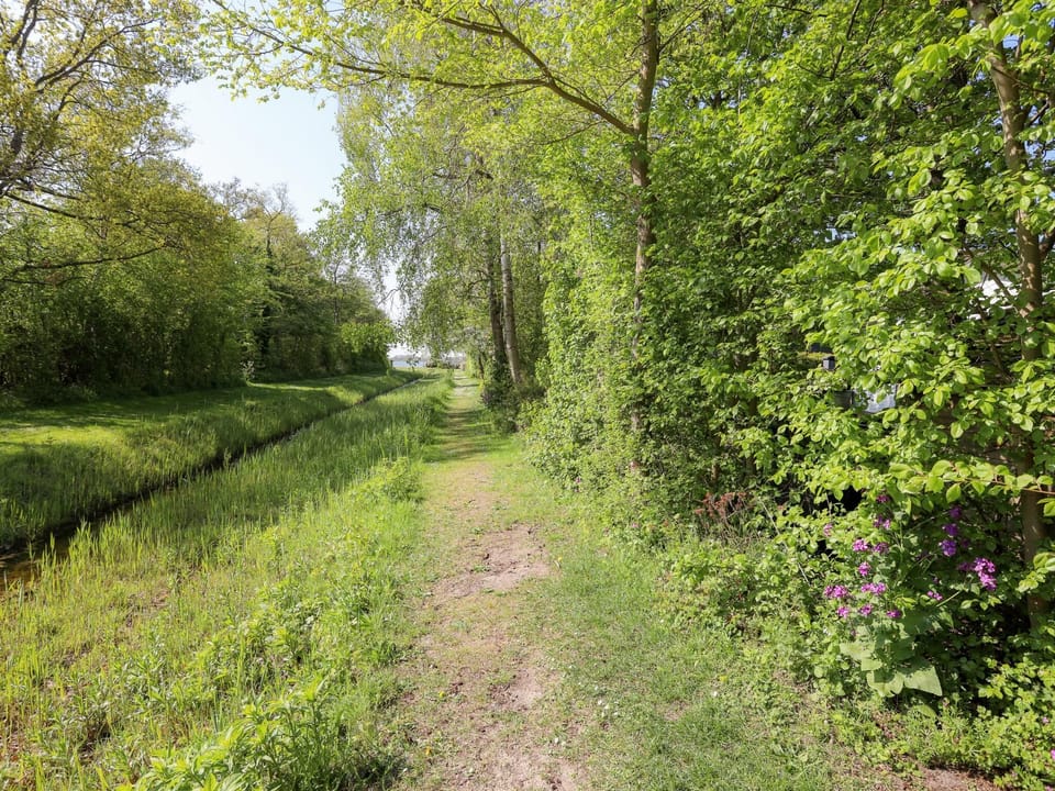 Immediate Surroundings [summer] (<1 km)