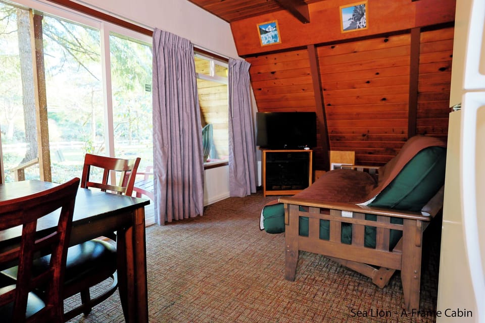 A-Frame Living Room 