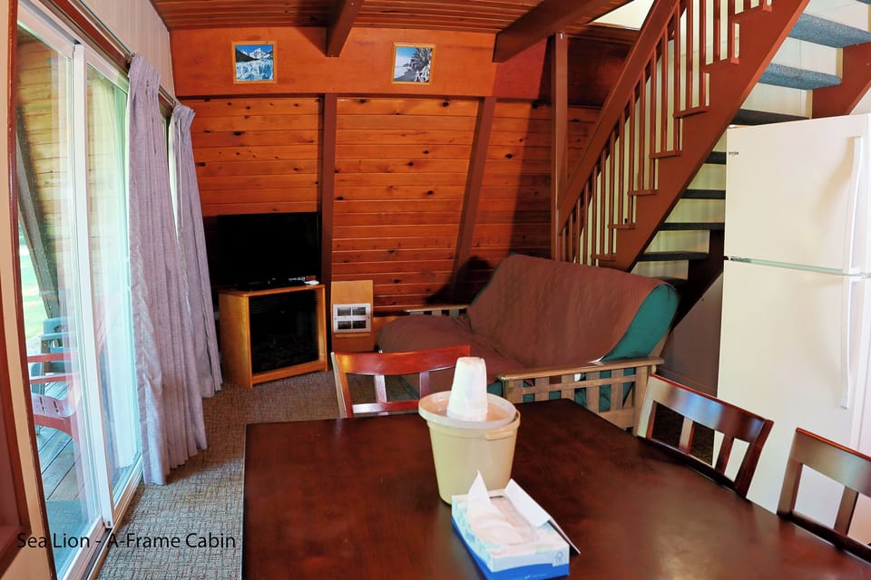 A-Frame - Living Room 