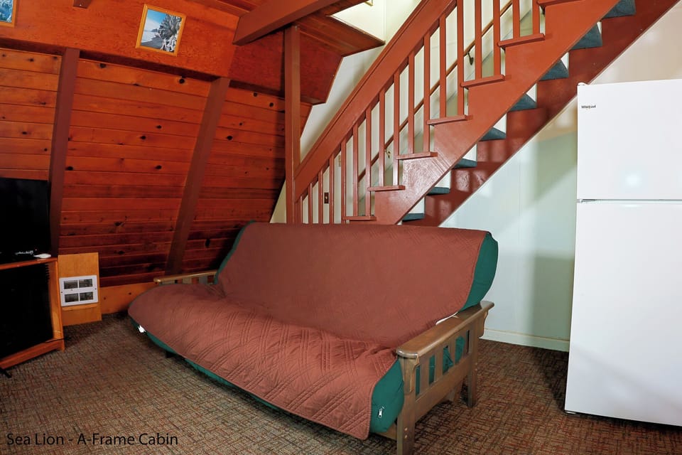 A-Frame - Queen Futon / Couch