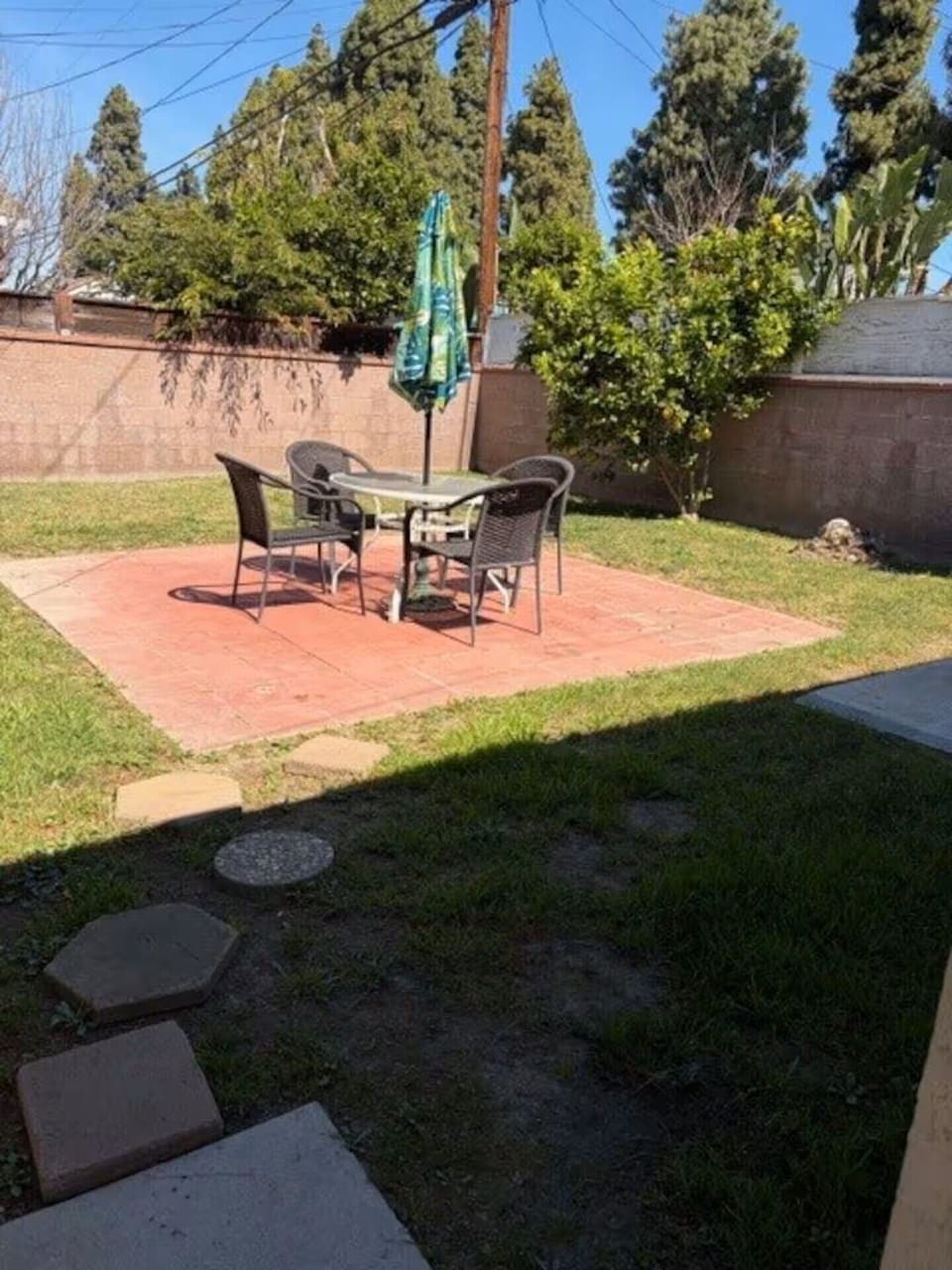 Backyard next to delicious lemon tree