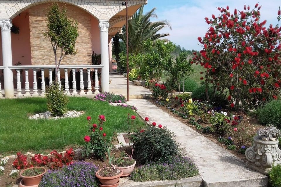 Shared Garden