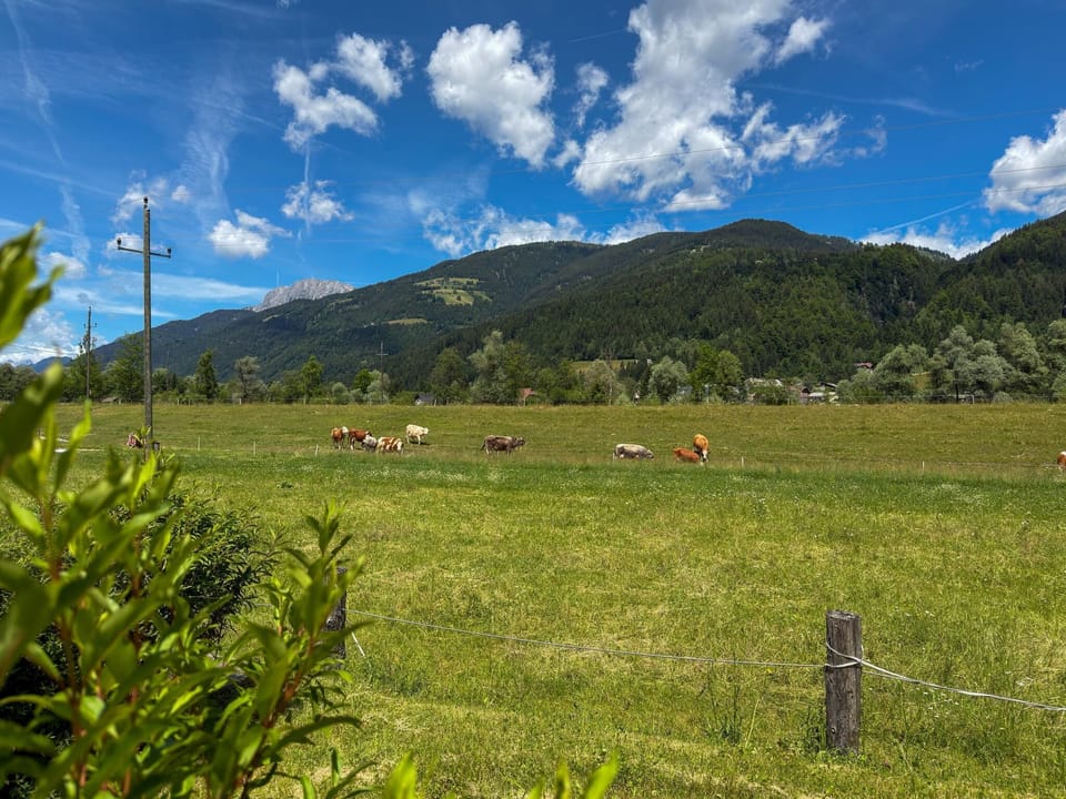 Immediate Surroundings [summer] (<1 km)