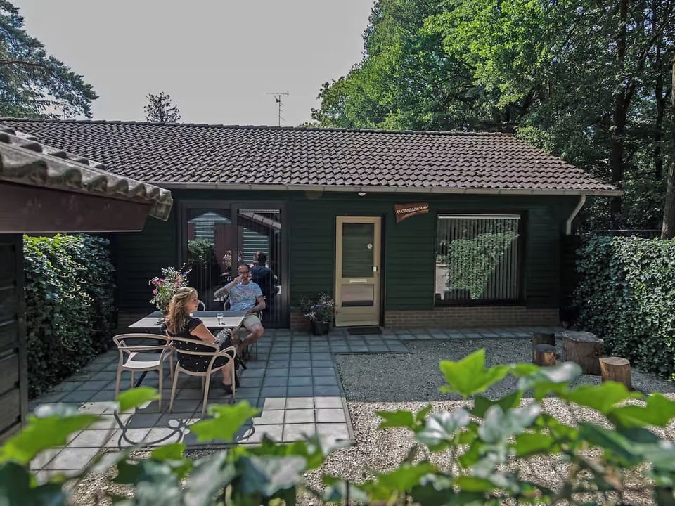Garden [summer]