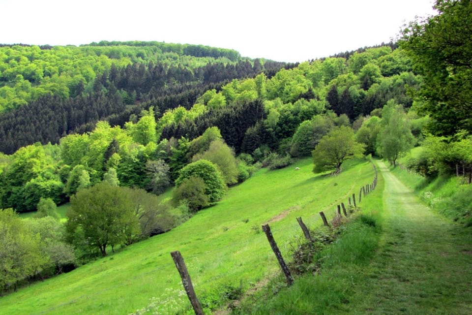 Surroundings [summer] (1-5 km)