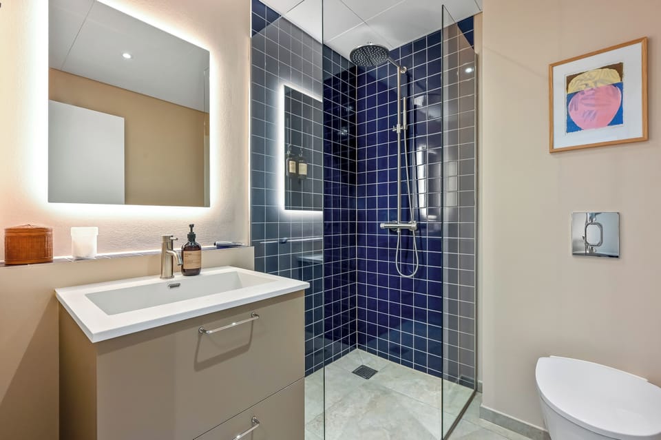 Deluxe Studio | Bathroom | Shower, hair dryer, towels, soap